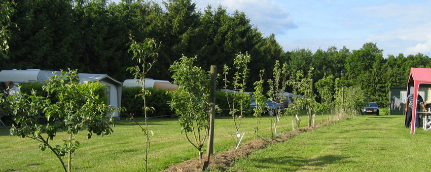 Kampeer veld waar u uw caravan of tent op kunt zetten. 