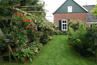 De fuchsia tuin van villa's weide