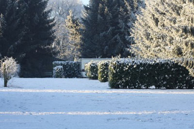 Winterlandschap kampeer weide op villa's weide